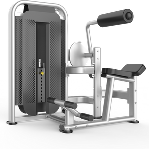 Commercial Back Extensioun Machine