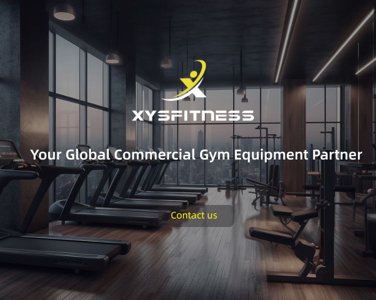 XYSFITNESS - Lammaanahaaga Qalabka Gym ee Ganacsiga Caalamiga ah (750 x 600 像素)