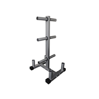 Олимписка плоча со тркала