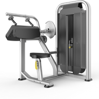Kev lag luam Triceps Extension Machine