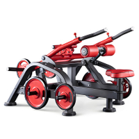 XYSFITNESS Sistema Dual de Premsa Dips (XYMC0002)