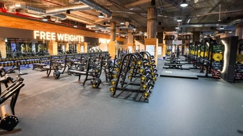 Hobaneng Mechini e Loailoeng ka Plate e le Bohlokoa Bakeng sa Koetliso ea Matla: Melemo le Litlhahiso