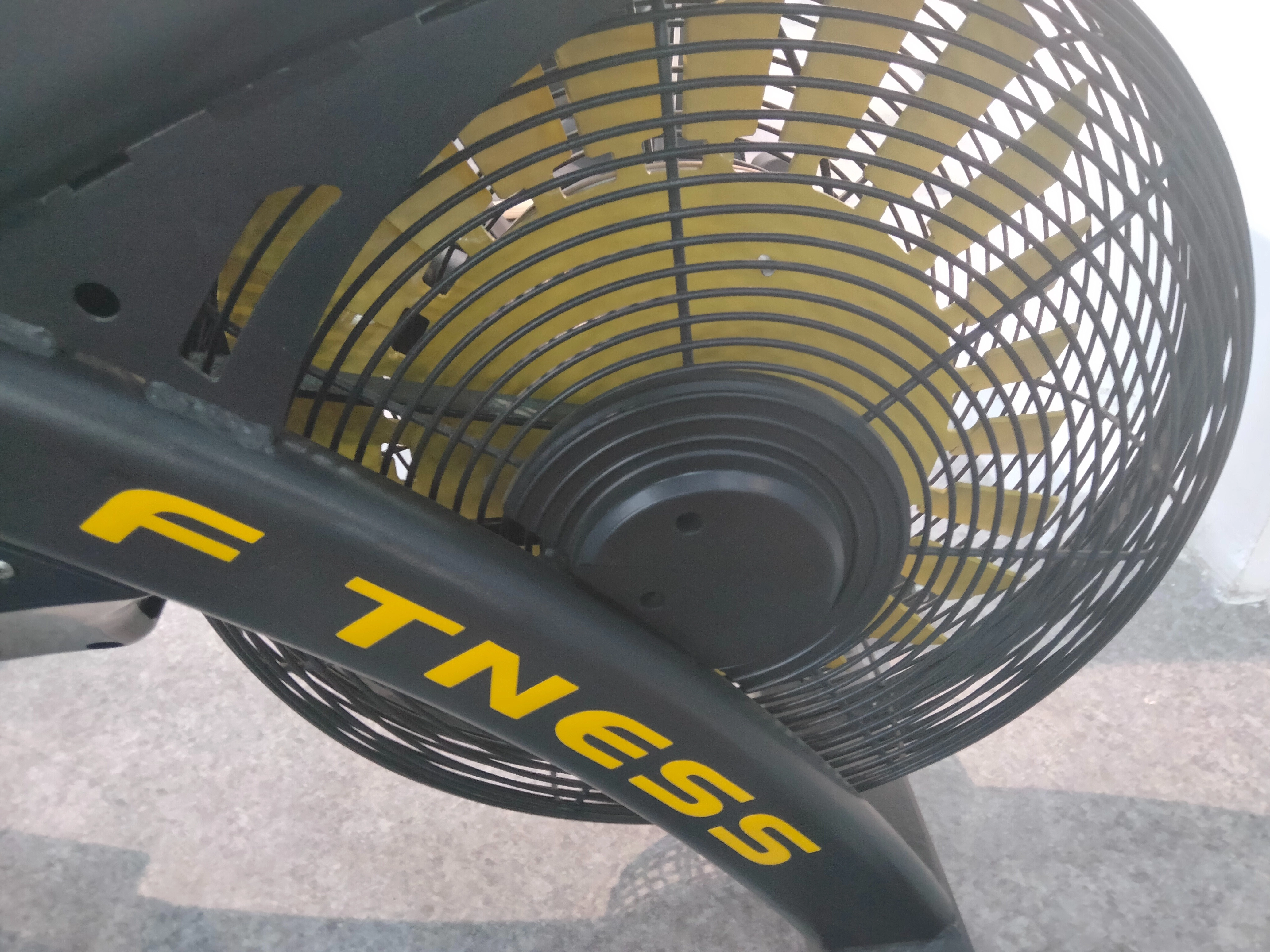 Come scegliere i migliori vogatori: i 5 principali benefici per la salute dei vogatori