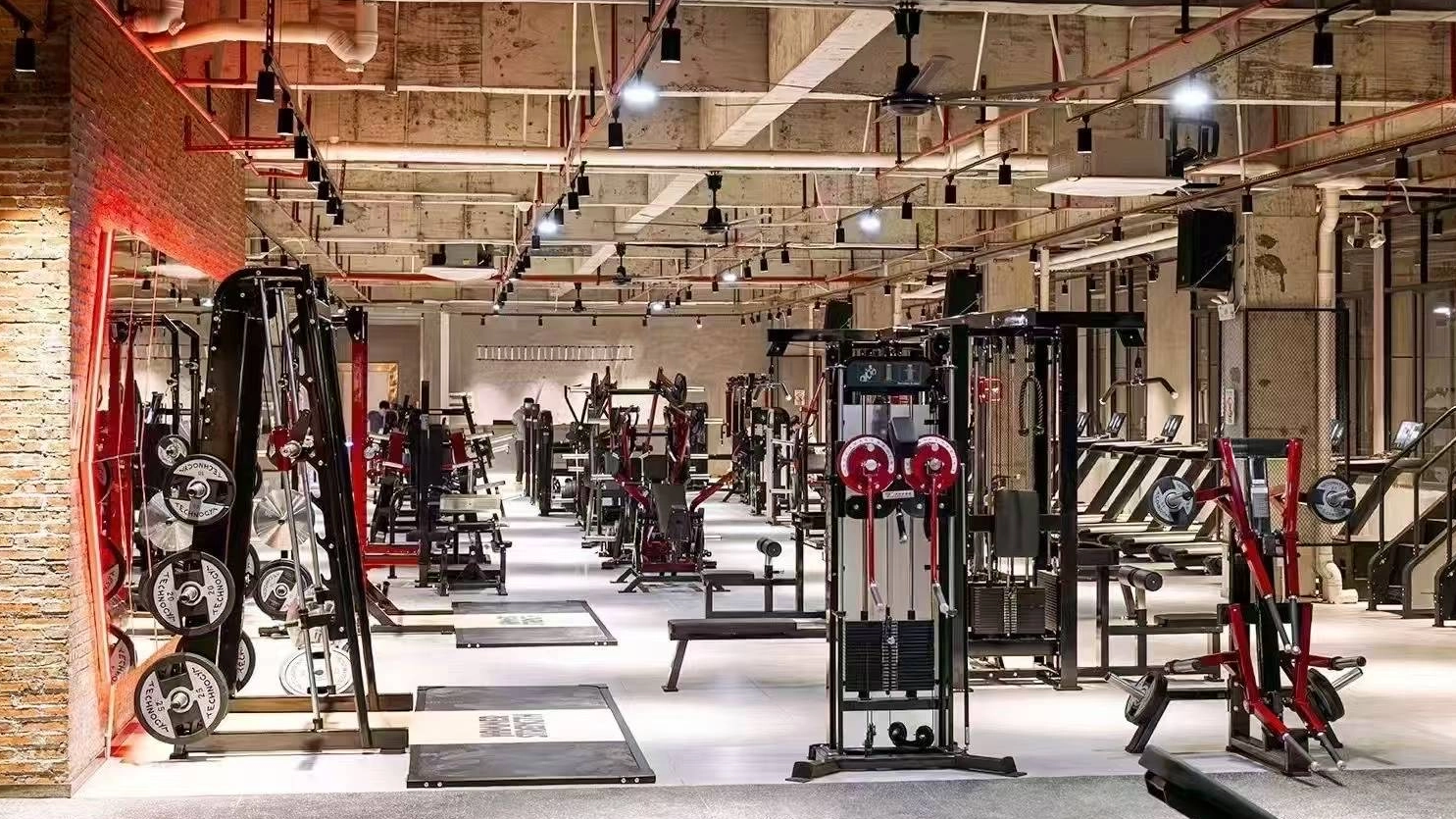 Pituduh Pamungkas pikeun Milih Rak Squat Anu Katuhu pikeun Gym Anjeun